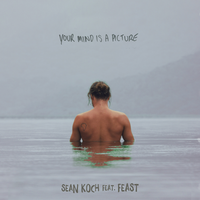 Your Mind Is A Picture - Sean Koch, feast.