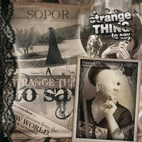 A Strange Thing To Say - Sopor Aeternus & The Ensemble Of Shadows