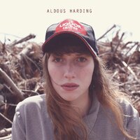 Two Bitten Hearts - Aldous Harding