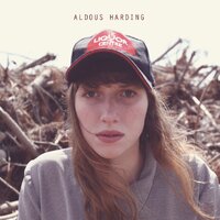 Titus Groan - Aldous Harding