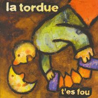 Les cordes - La Tordue