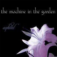 Icarus - The Machine in the Garden