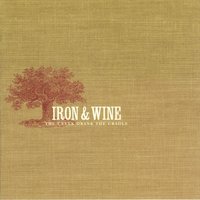 Lion's Mane - Iron & Wine