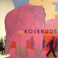 Border Guards - The Rosebuds