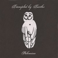 Wait so Long - Trampled By Turtles