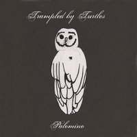 Bloodshot Eyes - Trampled By Turtles