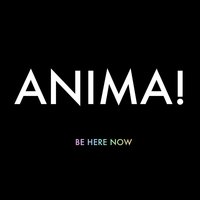 It's All Around - ANIMA!