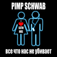 Всё. что нас не убивает - Pimp Schwab