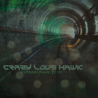 Crazy Love Hawk