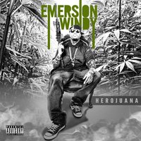 Chasing Hate (feat. Jayme Dee) - Emerson Windy, Jayme Dee