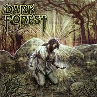 Penda's Fen - Dark Forest