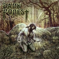 Immortal Remains - Dark Forest