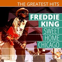 Living in the Palace of the King - Freddie  King