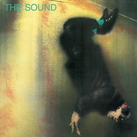 I Give You Pain - The Sound