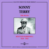 Sittin' On the Top of the World - Sonny Terry