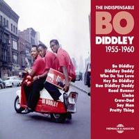 Walkin' and Talking - Bo Diddley