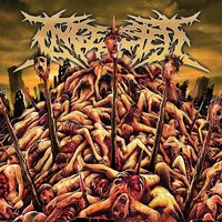 Uncrowned - Ingested