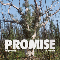 Promise - leftprojects, Joyride