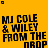 From The Drop - Wiley, MJ Cole