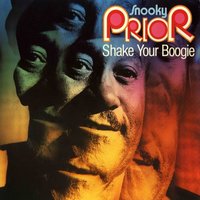 Bluebird Blues - Snooky Pryor