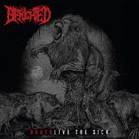 Slaughter Suicide - Benighted