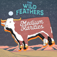 Goodnight - The Wild Feathers