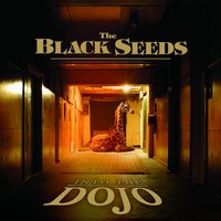 Cool Me Dub - The Black Seeds