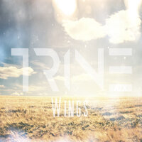 Wings - TrineATX