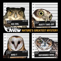 Out of Me - The Four Owls