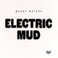 She's Alright - Muddy Waters