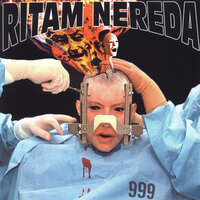 Ritam Nereda