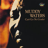 Garbage Man - Muddy Waters