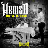 Mister Kriminell - Hemso