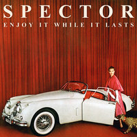 Never Fade Away - Spector