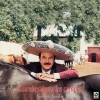 No Me Amenaces - ANTONIO AGUILAR