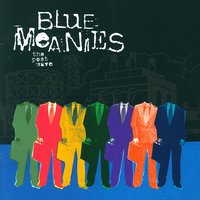 Big Brother's Watching - Blue Meanies