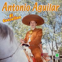 Calla Mujer Calla - ANTONIO AGUILAR