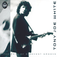 The Path of a Decent Groove - Tony Joe White