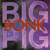 Boy Wonder - Big Pig