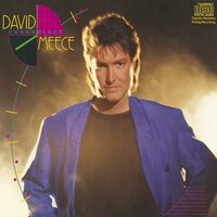 Falling Down - David Meece