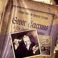 Résumé...- - Sopor Aeternus & The Ensemble Of Shadows