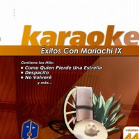 Amémonos - Karaoke Box