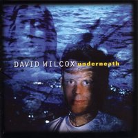 Spirit Wind - David Wilcox