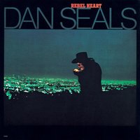 You Really Go For The Heart - Dan Seals
