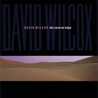 Lay Down In Your Arms - David Wilcox