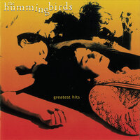 Alimony - The Hummingbirds