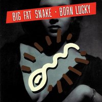 Whenever You're Ready - Big Fat Snake