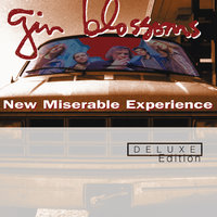 Hold Me Down - Gin Blossoms