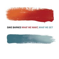 What We Want, What We Get - Dave Barnes