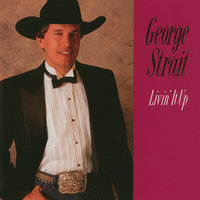 When You're A Man On Your Own - George Strait